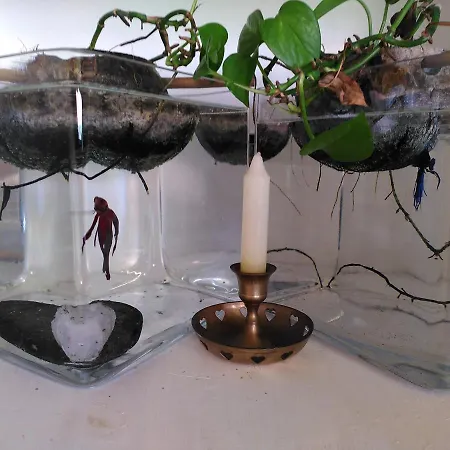 La Maison Bleue Colmar