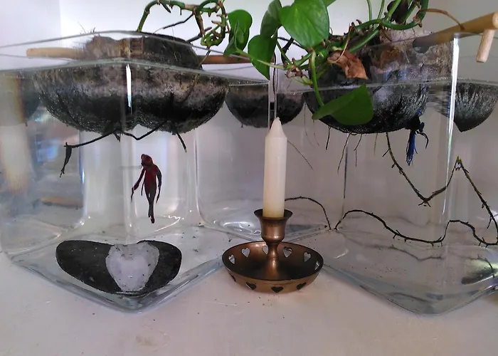 La Maison Bleue Colmar