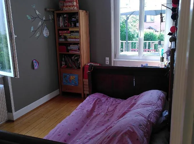 La Maison Bleue Appartement Colmar